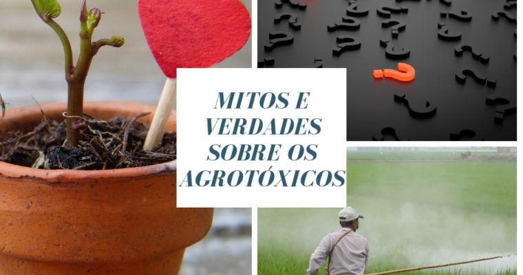 Mitos e verdades sobre os agrotóxicos