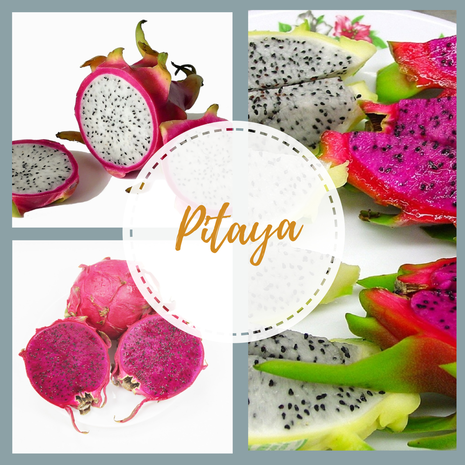 Conheça a Pitaya – a fruta dragão